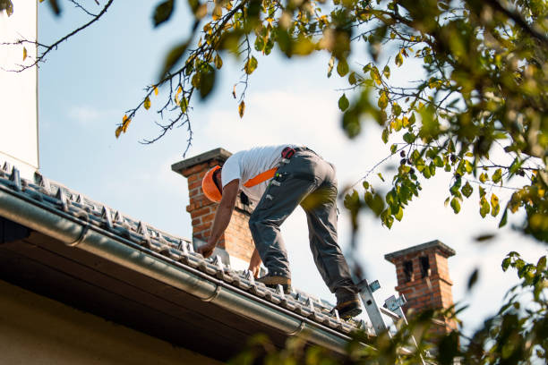 Best Roof Maintenance Services  in North Highlands, CA