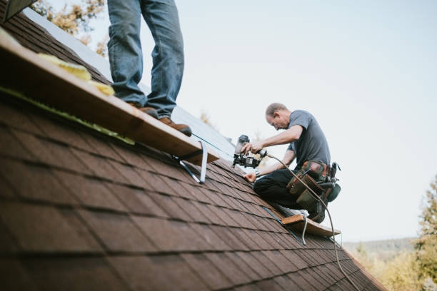 Best Roof Leak Repair  in North Highlands, CA